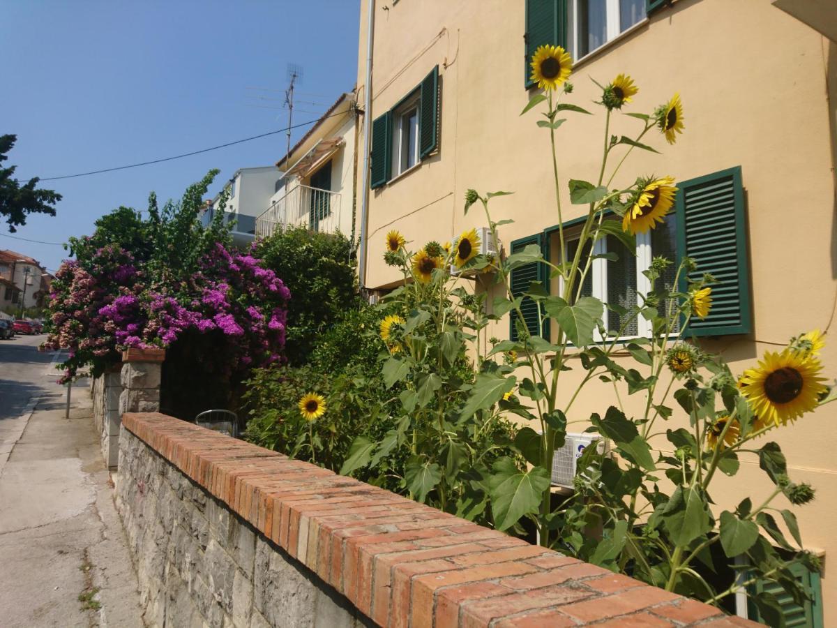 Appartement House